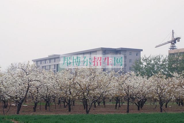石家莊財經職業(yè)學院是幾專