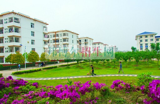 黃岡職業(yè)技術(shù)學院