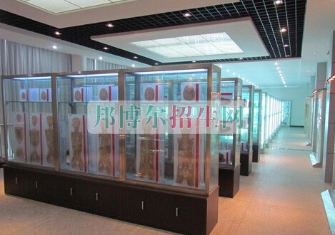 益陽醫(yī)學高等??茖W校