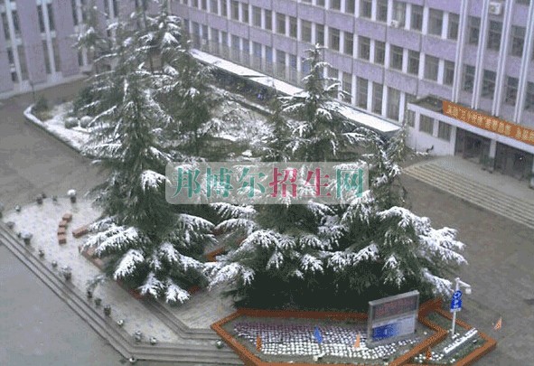 上海醫(yī)療器械高等?？茖W(xué)校
