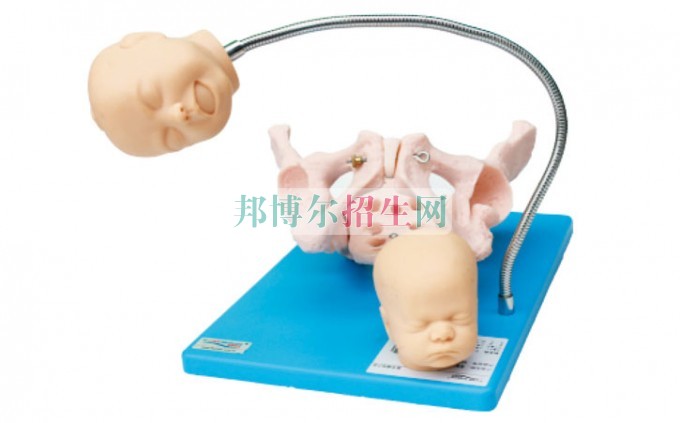 哪個學(xué)校有助產(chǎn)護(hù)理