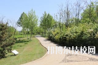 石家莊中英航空中等專(zhuān)業(yè)學(xué)校2020年報(bào)名條件、招生要求、招生對(duì)象