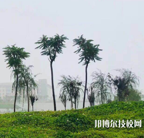 甘肅財貿(mào)職業(yè)學(xué)院2020年學(xué)費(fèi)、收費(fèi)多少
