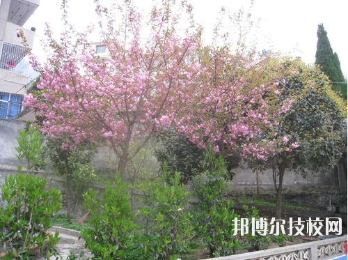 嵐皋縣中等職業(yè)技術(shù)學(xué)校2020年報名條件、招生要求、招生對象
