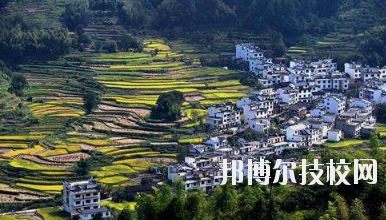 江西婺源茶葉學(xué)校2020年報名條件、招生要求、招生對象