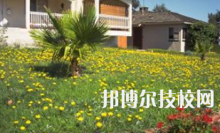 同學(xué)們需要依據(jù)自己所了解的情況來(lái)選擇學(xué)校，那么這也決定看同學(xué)們需要去了解這些學(xué)校的招生簡(jiǎn)章，以便可以清楚的了解學(xué)校信息。下面就由小編給同學(xué)們介紹的有關(guān)于蘭州園藝學(xué)校招生簡(jiǎn)章以及相關(guān)情況，以供大家參考了解。  蘭州園藝學(xué)校層次：中專(zhuān)  蘭州園藝學(xué)校性質(zhì)：公辦  蘭州園藝學(xué)校地址：蘭州市西固區(qū)范家坪  蘭州園藝學(xué)校介紹 蘭州園藝學(xué)校是全省唯一一所園藝、設(shè)施園藝、園林花卉、生態(tài)環(huán)境保護(hù)、建筑裝飾、旅游服務(wù)管理、計(jì)算機(jī)網(wǎng)絡(luò)技術(shù)、古建筑油漆彩畫(huà)等專(zhuān)業(yè)為一體的國(guó)辦全日制普通中等專(zhuān)業(yè)學(xué)校。  學(xué)校地處全省政治經(jīng)濟(jì)文化中心蘭州市,占地面積8萬(wàn)平方米。有各類(lèi)教學(xué)實(shí)驗(yàn)室14個(gè)，擁有圖書(shū)館、閱覽室、組培室、微機(jī)室、語(yǔ)音室、電教室、校園網(wǎng)等各類(lèi)教學(xué)設(shè)施。校園環(huán)境幽靜、空氣清新、規(guī)劃科學(xué)、設(shè)計(jì)獨(dú)特。校園內(nèi)溫?zé)釒Щɑ芷贩N齊全，三季有花，四季常青，教學(xué)生活設(shè)施齊全，師資力量雄厚校風(fēng)優(yōu)良。學(xué)校在珠海、深圳、上海、昆明、蘭州和平牡丹園等地有多處實(shí)習(xí)基地。學(xué)校以獨(dú)特的專(zhuān)業(yè)設(shè)置，超長(zhǎng)的市場(chǎng)預(yù)測(cè)和嚴(yán)格的管理，為社會(huì)培養(yǎng)了大批實(shí)用型中等專(zhuān)業(yè)人才，畢業(yè)生就業(yè)面積廣，就業(yè)率高。  了解了蘭州園藝學(xué)校的信息后，就知道簡(jiǎn)章也是可以用來(lái)選擇學(xué)校的。以上就是小編給大家整理的蘭州園藝學(xué)校招生簡(jiǎn)章，想要了解更多有關(guān)于學(xué)校信息的同學(xué)們是可以直接咨詢了解邦博爾相關(guān)網(wǎng)站。