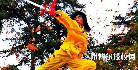 平?jīng)鲠轻嘉奈鋵W(xué)校2020年報名條件、招生要求、招生對象