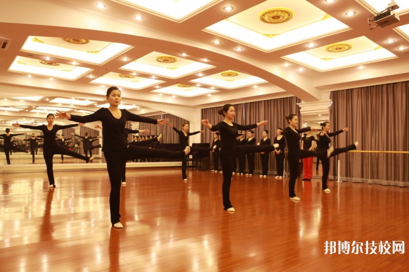 滄州職業(yè)技術(shù)學(xué)院2020年報(bào)名條件、招生要求、招生對象