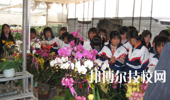 臨夏農(nóng)業(yè)學校2020年招生錄取分數(shù)線