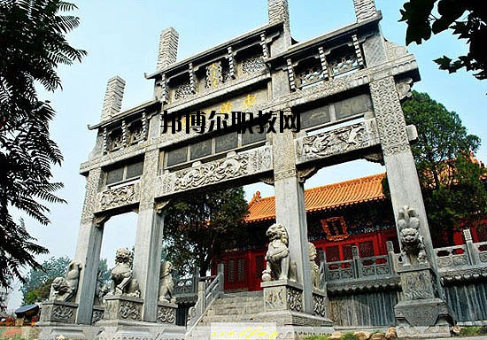 河北美術學院2020年報名條件、招生要求、招生對象