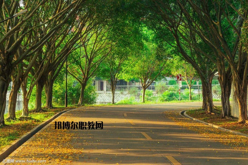 仙桃金園職業(yè)高級(jí)中學(xué)2020年報(bào)名條件、招生要求、招生對(duì)象