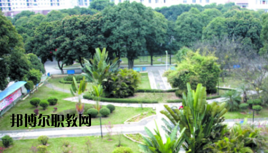 廣西百色農(nóng)業(yè)學(xué)校2020年報(bào)名條件、招生要求、招生對(duì)象 