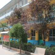 西安武術職業(yè)學校