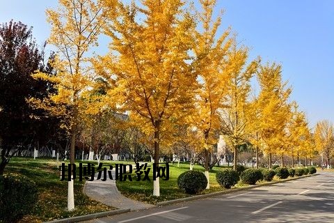 蘄春李時(shí)珍中等專業(yè)學(xué)校怎么樣、好不好