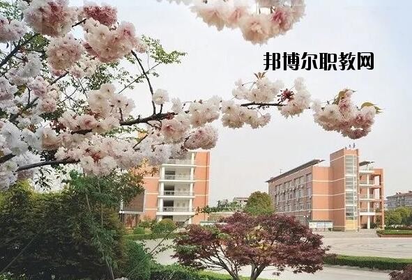 桐鄉(xiāng)衛(wèi)生學校2020年報名條件、招生要求、招生對象