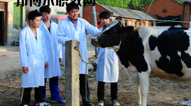 甘南畜牧學(xué)校2020年學(xué)費(fèi)、收費(fèi)多少