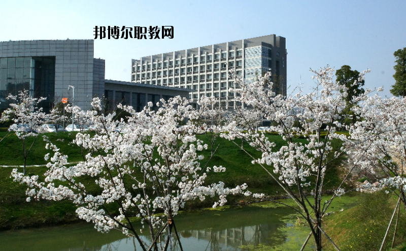 中國藥科大學(xué)2020年報名條件、招生要求、招生對象