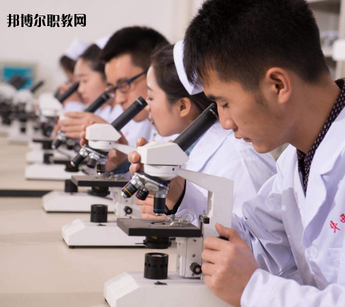 焦作護理學(xué)校怎么樣、好不好