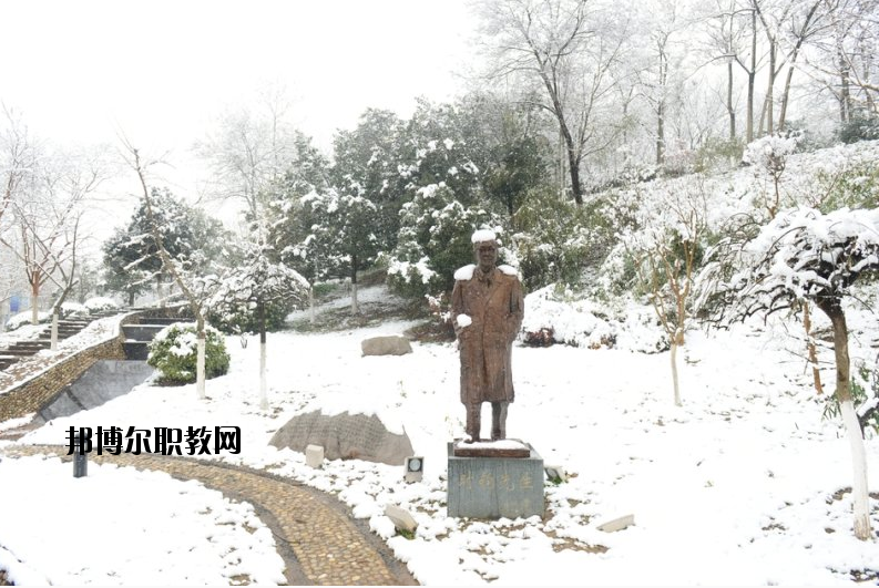 南京工業(yè)大學(xué)2020年報(bào)名條件、招生要求、招生對(duì)象