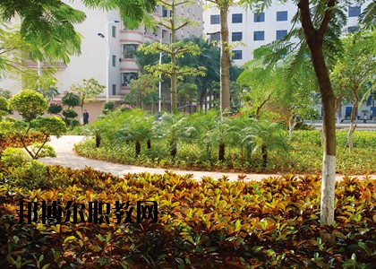 湛江技師學(xué)院怎么樣、好不好