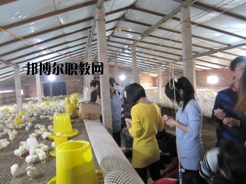 通許中等職業(yè)學(xué)校2021年學(xué)費、收費多少