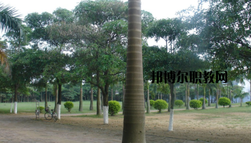 合浦石康職業(yè)技術(shù)學(xué)校怎么樣、好不好
