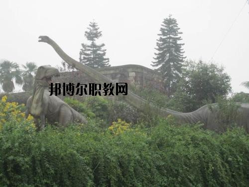 自貢三星職業(yè)技術(shù)學(xué)校2020年報(bào)名條件、招生要求、招生對(duì)象