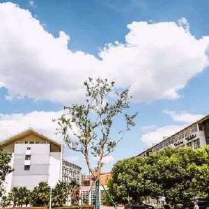 南京科技職業(yè)學(xué)院怎么樣、好不好