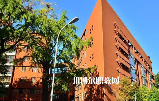 湛江湛港職業(yè)技術(shù)學(xué)校2020年報(bào)名條件、招生要求、招生對象