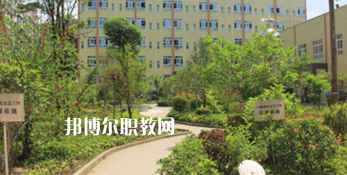 道真中等職業(yè)學校2020年報名條件、招生要求、招生對象