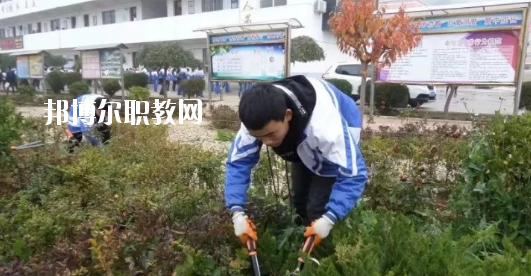 秦安縣古城農(nóng)業(yè)中學(xué)怎么樣、好不好
