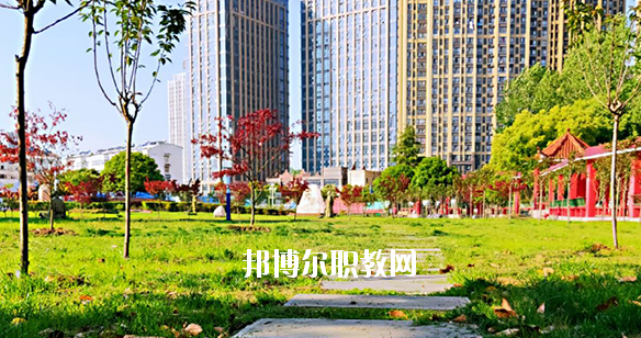 合肥飛躍學(xué)校2020年報(bào)名條件、招生要求、招生對(duì)象 