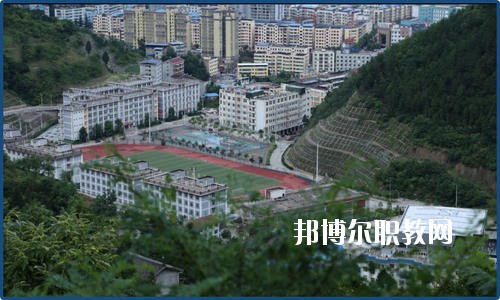 廣元朝天職業(yè)中學(xué)2020年報名條件、招生要求、招生對象