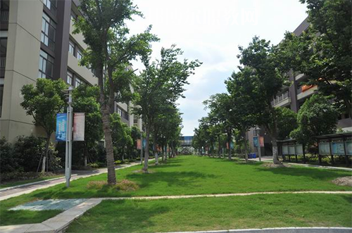 昆山花橋國際商務城中等專業(yè)學校怎么樣、好不好