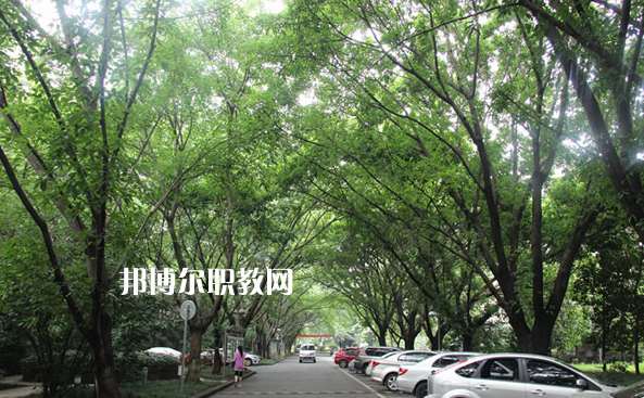 重慶2021年中專學(xué)?？梢钥即髮W(xué)嗎