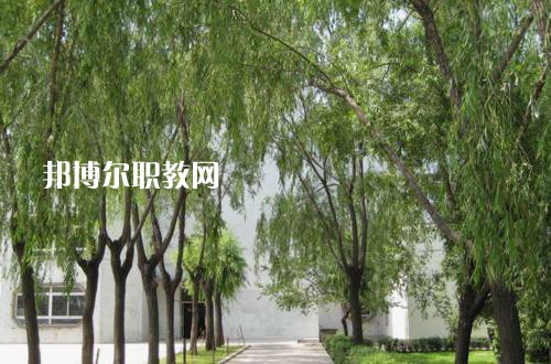 新疆喀什地區(qū)衛(wèi)生學(xué)校2021年報(bào)名條件、招生要求、招生對(duì)象