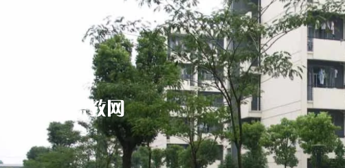 安徽工商行政管理學校怎么樣、好不好