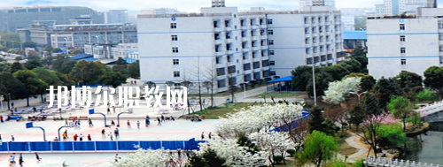 四川交通職業(yè)技術學院2022年報名條件、招生要求、招生對象