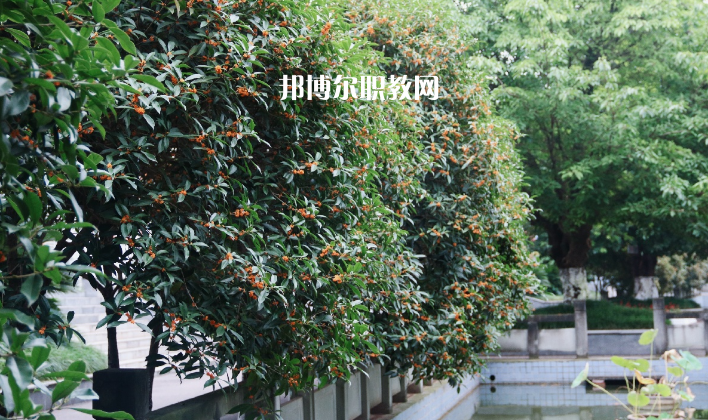 德陽通用電子科技學校怎么樣、好不好