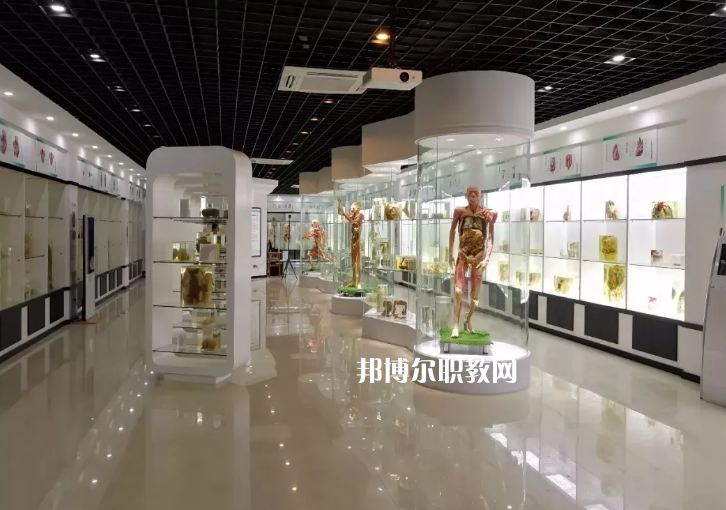 廣東省潮州衛(wèi)生學校2022年招生辦聯系電話