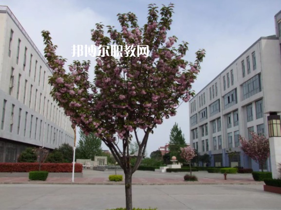 陳倉區(qū)職業(yè)教育中心2022年報名條件、招生要求、招生對象