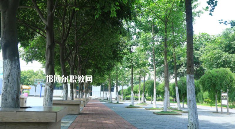鎮(zhèn)雄縣職業(yè)高級中學2022年報名條件、招生要求、招生對象