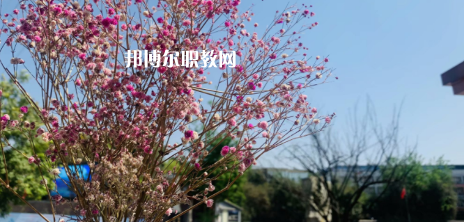 成都華大醫(yī)藥衛(wèi)生學(xué)校怎么樣、好不好