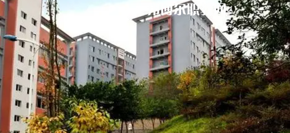 四川市綿竹職業(yè)中專學(xué)校2022年報(bào)名條件、招生要求、招生對象