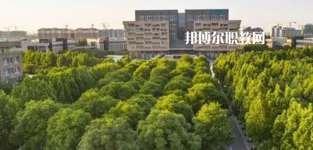 2023山東十大?？茖W(xué)校名單及排行榜