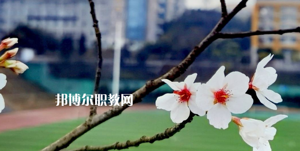 2023眉山技師學(xué)院招生計劃 招生人數(shù)是多少(附要求、條件、對象)