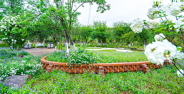 重慶望江技工學(xué)校地址在哪里，哪個地區(qū)，哪個城市?