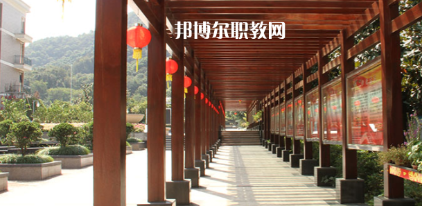 2023杭州市城西中學(xué)職高部招生計(jì)劃 招生人數(shù)是多少(附要求、條件、對象)