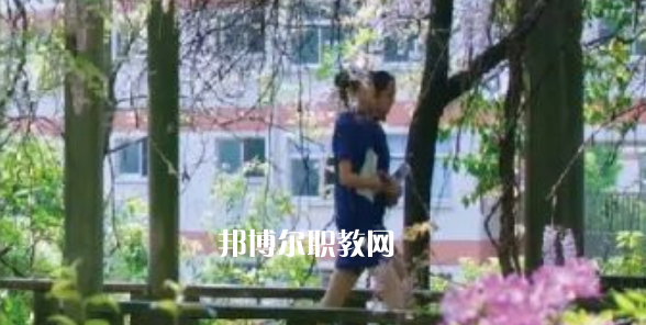 2023金華市成功學(xué)校招生計(jì)劃 招生人數(shù)是多少(附要求、條件、對(duì)象)