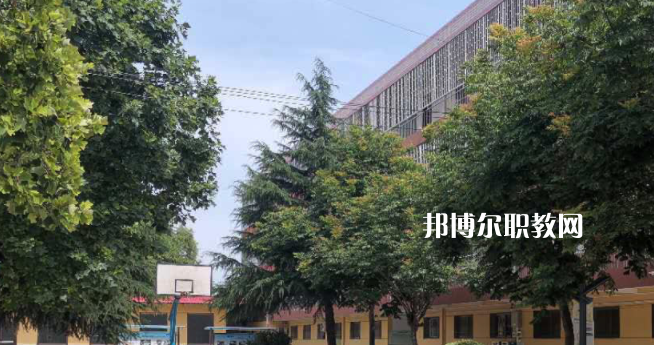 2023楊凌師范學(xué)校招生計(jì)劃 招生人數(shù)是多少(附要求、條件、對(duì)象)